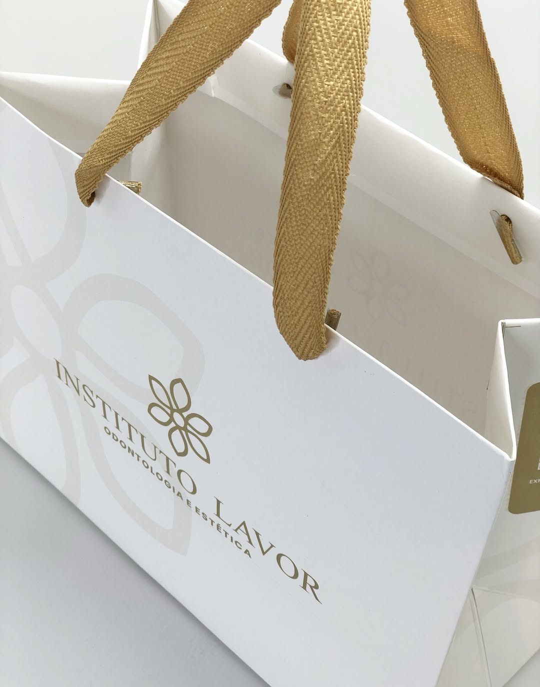 Instituto Lavor — detalhe 1