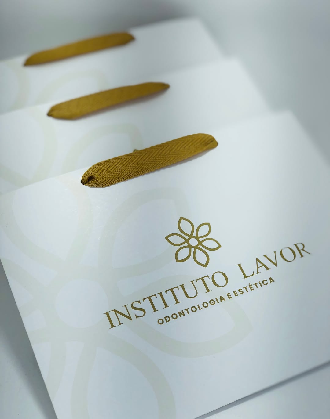 Instituto Lavor — detalhe 3